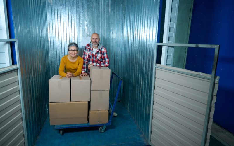 Control de plagas: el factor clave unidades de almacenamiento