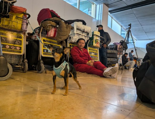 Entender los vuelos a Venezuela: Opciones para viajeros afectados